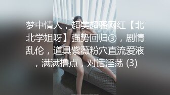 梦中情人，超美超骚网红【北北学姐呀】强势回归③，剧情乱伦，道具紫薇粉穴直流爱液，满满撸点，对话淫荡 (3)