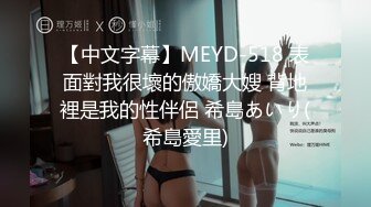 【中文字幕】MEYD-518 表面對我很壞的傲嬌大嫂 背地裡是我的性伴侶 希島あいり(希島愛里)