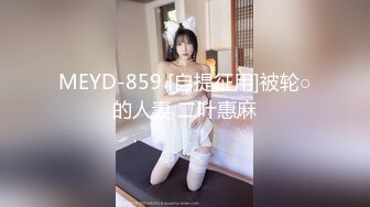 MEYD-859 [自提征用]被轮○的人妻 二叶惠麻