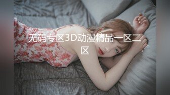 无码专区3D动漫精品一区二区