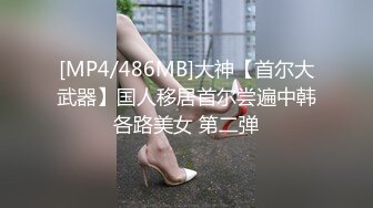 [MP4/486MB]大神【首尔大武器】国人移居首尔尝遍中韩各路美女 第二弹