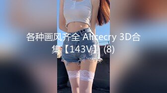 各种画风齐全 Alicecry 3D合集【143V】 (8)