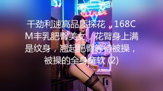 干劲利速高品质探花，168CM丰乳肥臀美女，花臂身上满是纹身，翘起肥臀等待被操，被操的全身瘫软 (2)