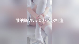 维纳斯VNS-007萍水相逢