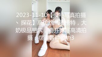 2023-11-10【模特写真拍摄丶探花】高价约气质模特，大奶极品肥穴，掰开特写高清拍摄，摆弄各种姿势3