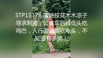 STP15178 清纯校花木木凉子寻求刺激，公交车后排低头吃鸡巴，人行道公厕吃龟头，不知道有多爽！