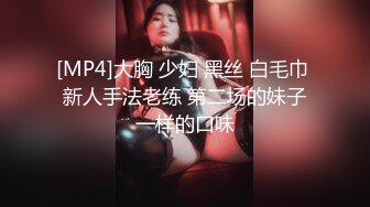 [MP4]大胸 少妇 黑丝 白毛巾 新人手法老练 第二场的妹子一样的口味