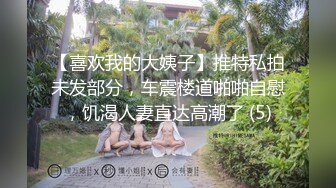 【喜欢我的大姨子】推特私拍未发部分，车震楼道啪啪自慰，饥渴人妻直达高潮了 (5)