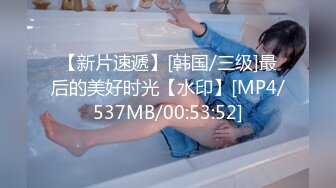 【新片速遞】[韩国/三级]最后的美好时光【水印】[MP4/537MB/00:53:52]