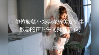 单位聚餐小领导灌醉美女同事 猴急的在卫生间就开干 (2)