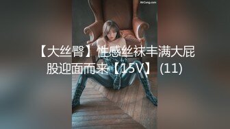 【大丝臀】性感丝袜丰满大屁股迎面而来【15V】 (11)