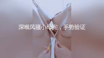 深喉风骚小母狗，手势验证