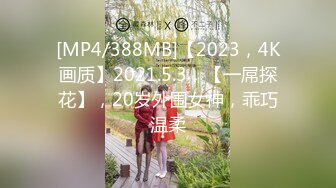 [MP4/388MB]【2023，4K画质】2021.5.3，【一屌探花】，20岁外围女神，乖巧温柔