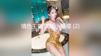 情色主播 美妞小蝴蝶 (2)