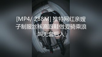 [MP4/ 288M] 推特网红亲嫂子制服丝袜高跟鞋做爱骑乘浪叫无套后入