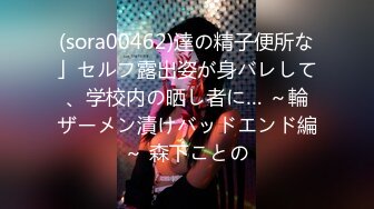 (sora00462)達の精子便所な」セルフ露出姿が身バレして、学校内の晒し者に… ～輪ザーメン漬けバッドエンド編～ 森下ことの