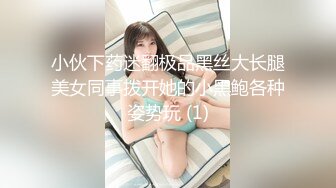 小伙下药迷翻极品黑丝大长腿美女同事拨开她的小黑鲍各种姿势玩 (1)