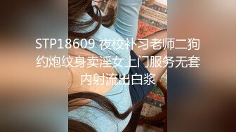 STP18609 夜校补习老师二狗约炮纹身卖淫女上门服务无套内射流出白浆